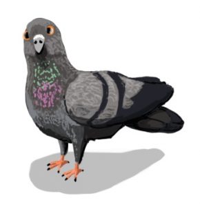 Grant Wickham illustrator